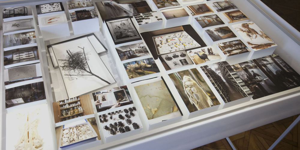 Slovenská fotografka Jana Hojstričová nabídne jiný pohled na fotografii