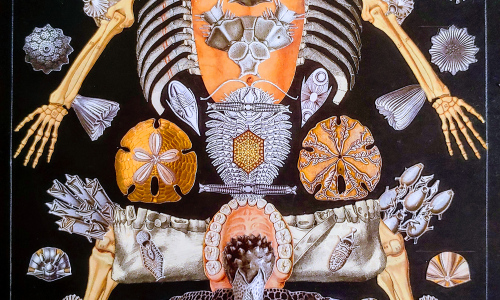 Meziříčské děti se nebudou nudit: Jeden den strašidla, druhý den Dášeňka